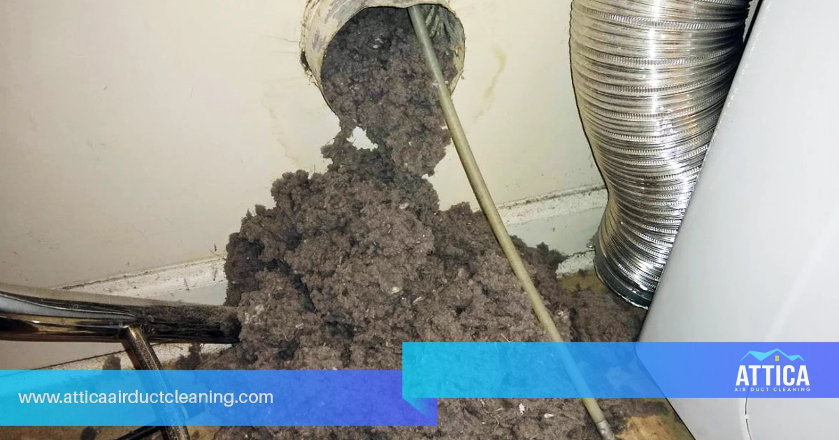 Dryer repair and vent cleaning. Showing mold growth in the dryer machine.