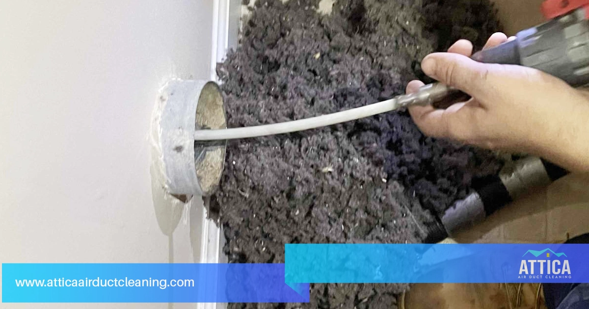 Cleaning the dryer vent. Showing lint in the dryer vent.
